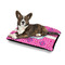 Colorful Trellis Outdoor Dog Beds - Medium - IN CONTEXT