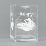 Flying Pigs Acrylic Pen Holder (Personalized)