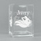 Flying Pigs Acrylic Pen Holder (Personalized)