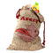 Flying Pigs Santa Sack (Personalized)