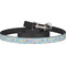 Happy Easter Dog Leash (Personalized)