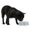 Happy Easter Plastic Pet Bowls - Medium - LIFESTYLE