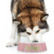 Mother's Day Plastic Pet Bowls - Large - LIFESTYLE