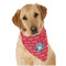 School Mascot Dog Bandana Scarf w/ Name or Text