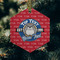 School Mascot Frosted Glass Ornament - Hexagon (Lifestyle)