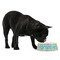 Fun Easter Bunnies Plastic Pet Bowls - Medium - LIFESTYLE