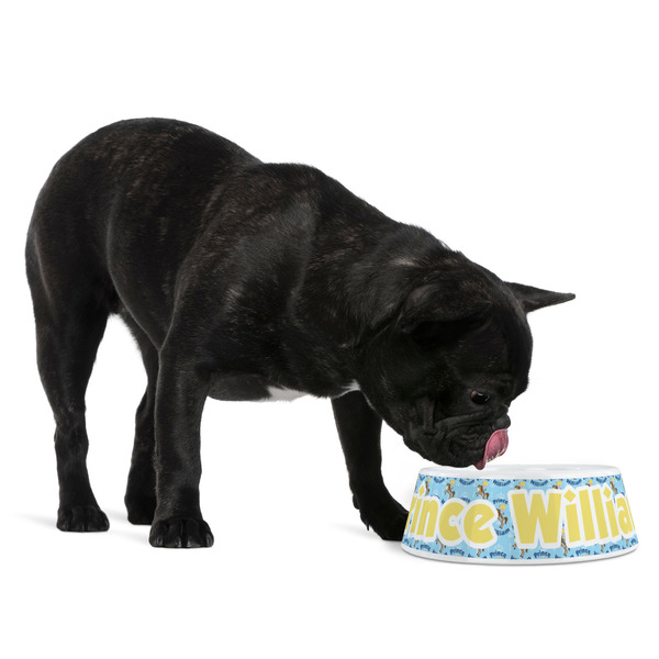Custom Prince Plastic Pet Bowls - Medium - LIFESTYLE
