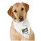 Family Photo and Name Dog Bandana Scarf