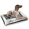 Family Photo and Name Outdoor Dog Beds - Large - IN CONTEXT