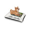 Family Photo and Name Outdoor Dog Beds - Small - IN CONTEXT