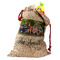 Family Photo and Name Santa Bag - Front (stuffed w toys) PARENT