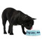 Logo & Company Name Plastic Pet Bowls - Medium - LIFESTYLE
