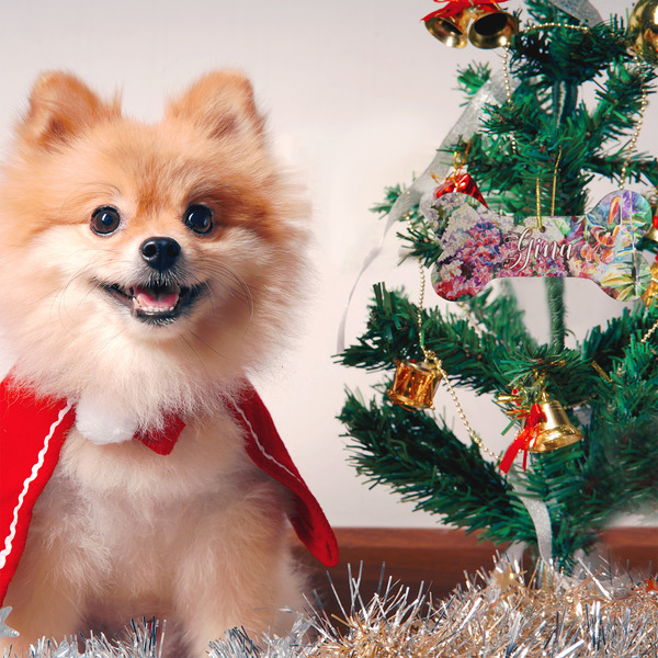 Watercolor Floral Ceramic Flat Ornament - Bone (LIFESTYLE)