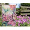 Watercolor Floral Garden Flag - Outside In Flowers