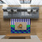 Alligators & Stripes 5'x7' Indoor Area Rugs - IN CONTEXT