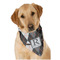 Modern Chic Argyle Dog Bandana Scarf w/ Name and Initial