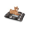 Modern Chic Argyle Outdoor Dog Beds - Small - IN CONTEXT