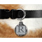 Modern Chic Argyle Round Pet Tag on Collar & Dog