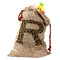 Granite Leopard Santa Sack (Personalized)