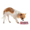 Lips (Pucker Up) Plastic Pet Bowls - Small - LIFESTYLE