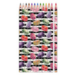 Macarons Colored Pencils