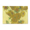 Sunflowers (Van Gogh 1888) 4'x6' Patio Rug - Front/Main