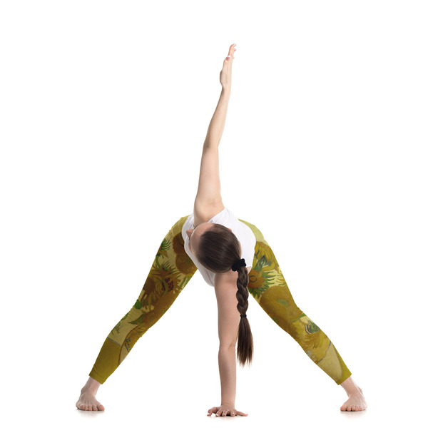 Sunflowers (Van Gogh 1888) Ladies Leggings - LIFESTYLE
