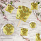 Sunflowers (Van Gogh 1888) Party Supplies Combination Image - All items - Plates, Coasters, Fans