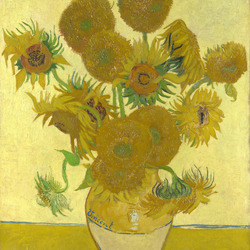 Sunflowers (Van Gogh 1888)