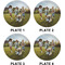 Photo Set of Lunch / Dinner Plates (Approval)