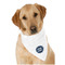 Logo Dog Bandana Scarf