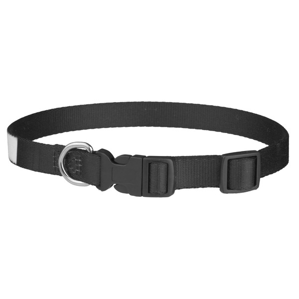 Logo Dog Collar - Medium - Back