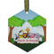 Animals Frosted Glass Ornament - Hexagon