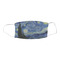 The Starry Night (Van Gogh 1889) Fabric Face Mask