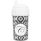 Ikat Sippy Cup (Personalized)