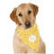 Trellis Dog Bandana Scarf w/ Initial