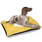 Trellis Outdoor Dog Beds - Large - IN CONTEXT