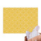 Trellis Tissue Paper Sheets - Main