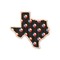 Texas Polka Dots Wooden Sticker - Main
