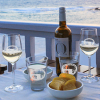 Airstream Region 3 Logo Beer Stein