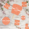 Linked Circles Party Supplies Combination Image - All items - Plates, Coasters, Fans