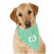 Zig Zag Dog Bandana Scarf w/ Monogram