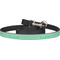 Zig Zag Dog Leash (Personalized)