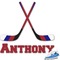 Hockey 2 Graphic Iron On Transfer