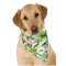 Flamingo & Camping Dog Bandana Scarf (Personalized)