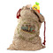 Flamingo & Camping Santa Sack (Personalized)