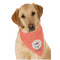South Florida Airstream Club Logo Dog Bandana Scarf