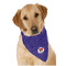 Arkansas Razorback Airstream Club Logo Dog Bandana Scarf
