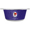 Arkansas Razorback Airstream Club Logo Stainless Steel Dog Bowl