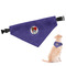 Arkansas Razorback Airstream Club Logo Dog Bandana